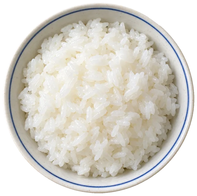 茶碗によそった白ごはん